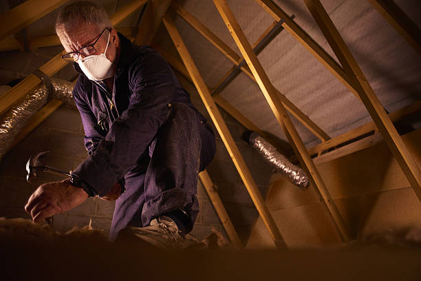 Types of Insulation We Offer in Ocean Pines, MD